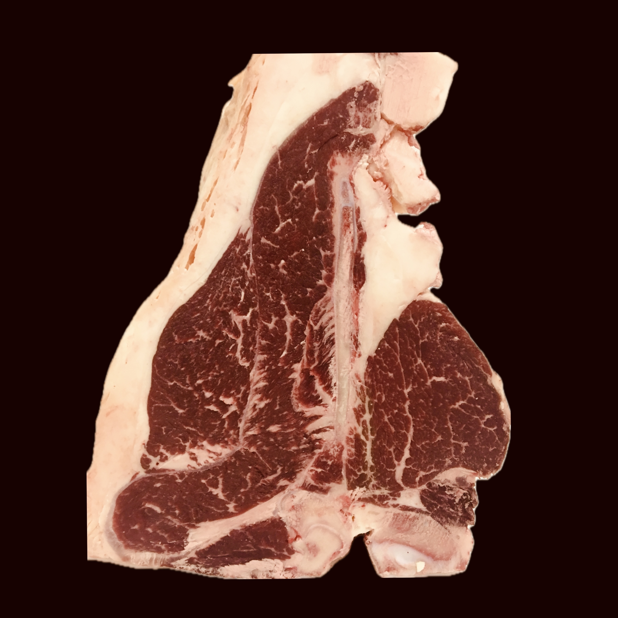 Luxury...per chi non si accontenta‼️Fiorentina con osso di scottona 27,90€ il Kg